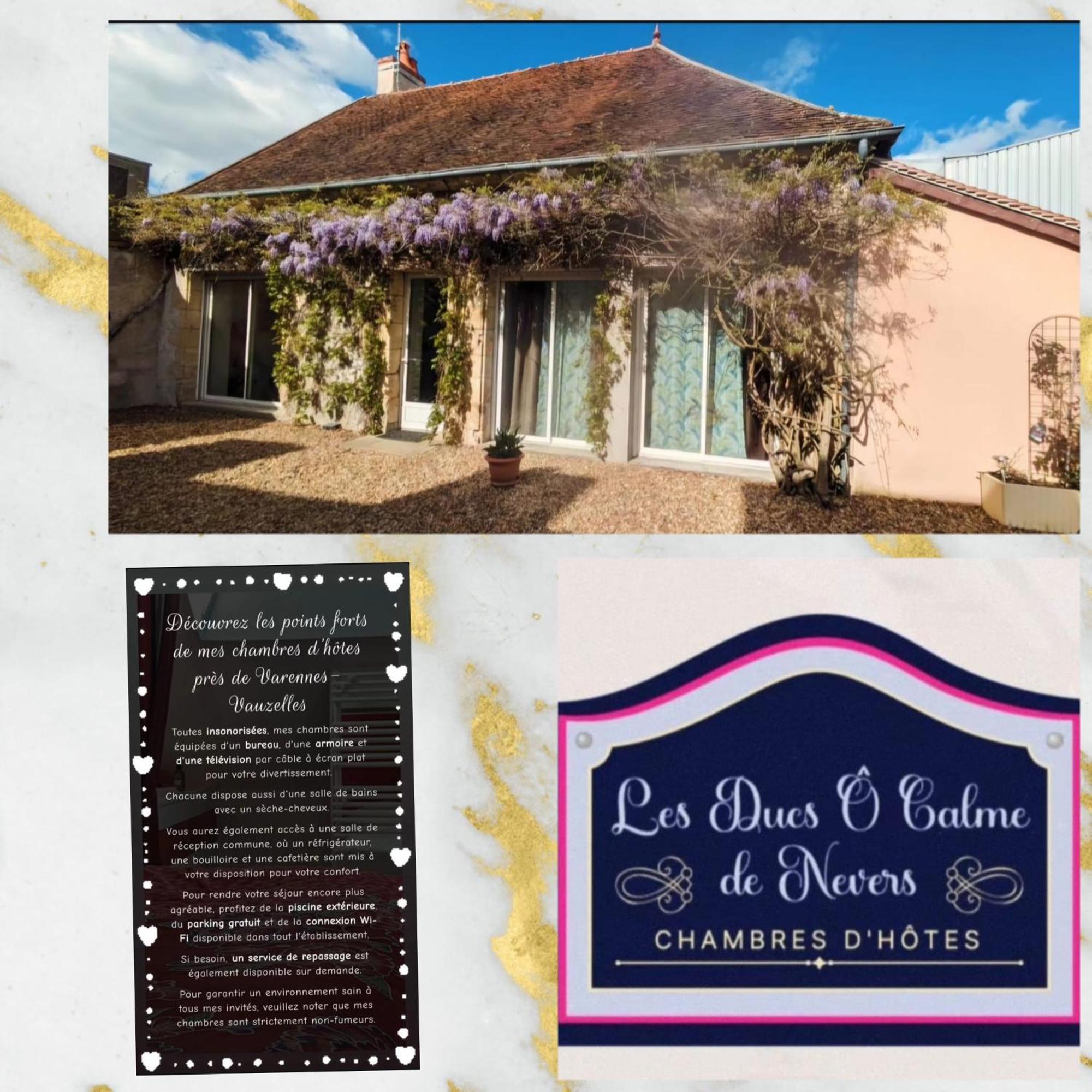 Chambres D'Hotes Des Ducs O Calme De ヌヴェール エクステリア 写真